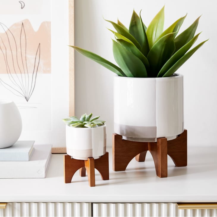 10 Cheap & Stylish Houseplant Pots 2023 Apartment Therapy