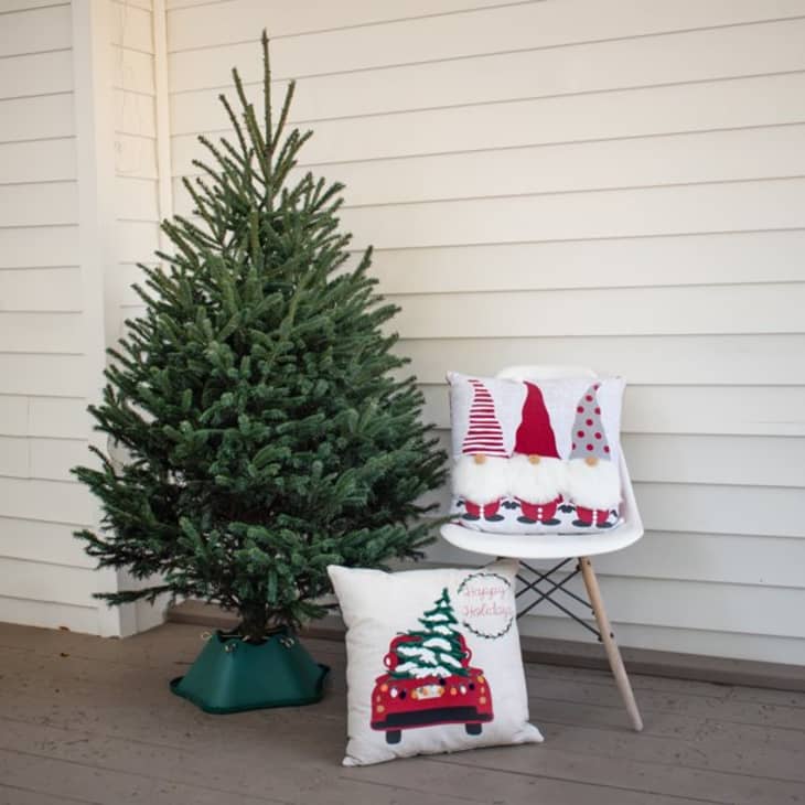 5 Places to Buy Live Christmas Trees Online 2022 Walmart, Home Depot
