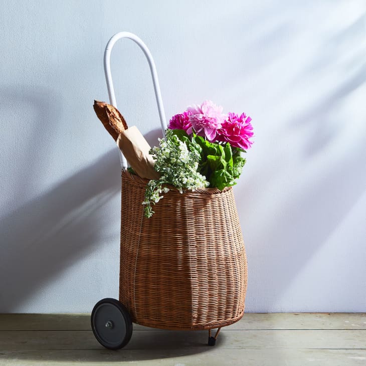 9 Best Foldable Shopping Carts for 2023 Apartment Therapy