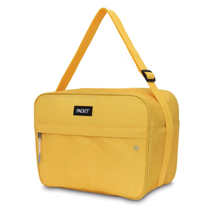 9 Stylish Insulated Cooler Bags for Summer 2023 | The Kitchn