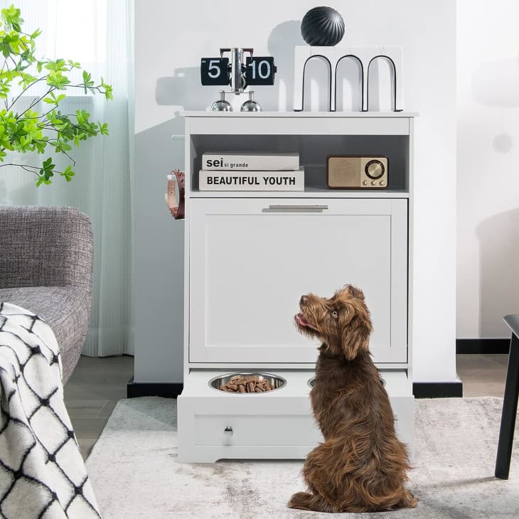 Cat feeding outlet cabinet