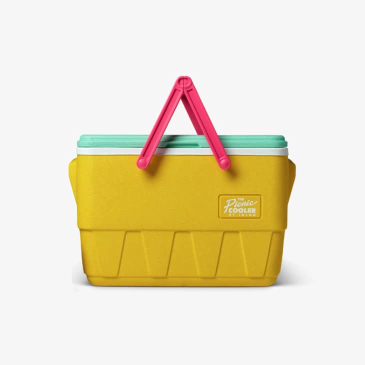 Picnic hot sale cooler igloo