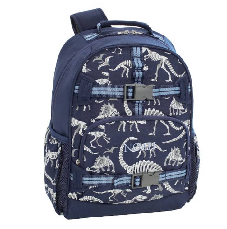 Pottery Barn Dinosaur Backpack