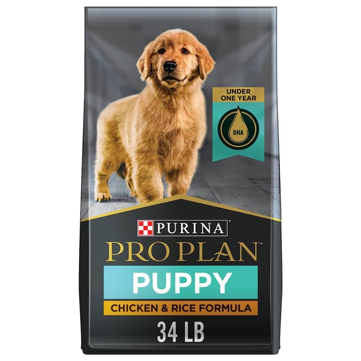 The Best Dog Food For Puppies, Small And Large Breed 2023 