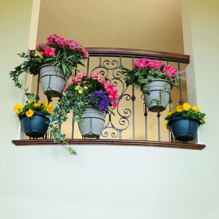 “RailScapes” Are the Latest Houseplant Trend on TikTok | Apartment Therapy