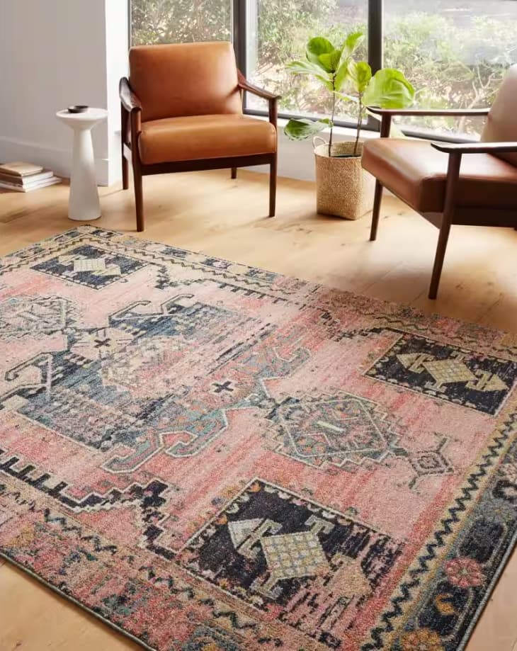 The Best Loloi Rugs Amber Lewis, Magnolia, and More Apartment Therapy
