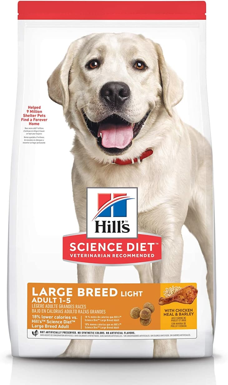 Best dry dog food for best sale overweight dogs