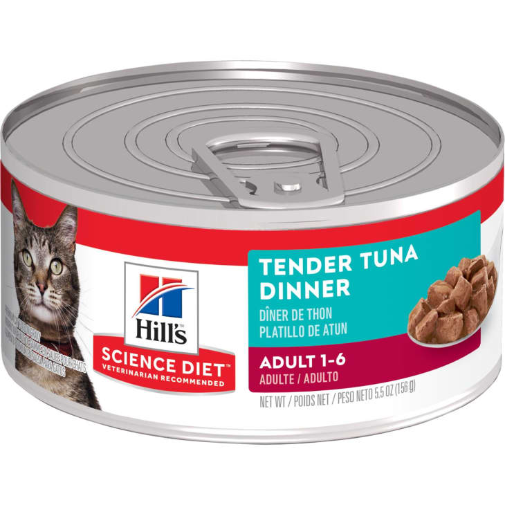 Dry cat food for finicky best sale cats