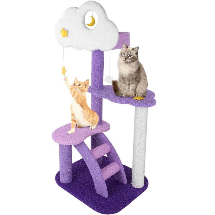 Aldi cat on sale scratching post 2019