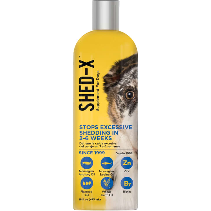 Shampoo to best sale stop dog shedding