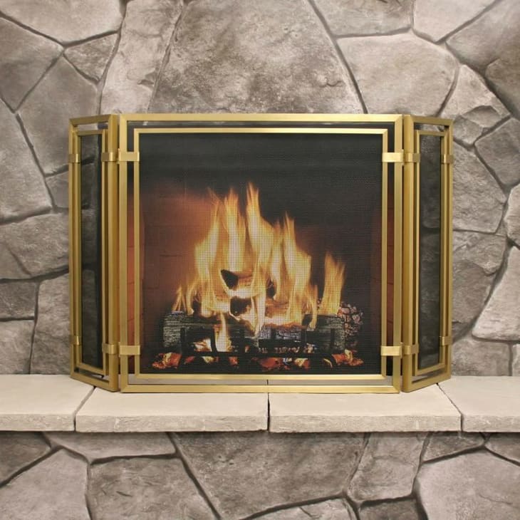 14 Best Modern Fireplace Screens 2021 | Apartment Therapy