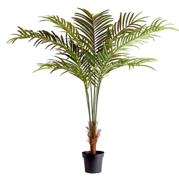 6 Convincing Fake Plants from Apartment Therapy's Small/Cool Experience