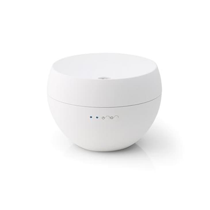 The Best PlugIn Diffusers for Every Type of Home and Space Apartment