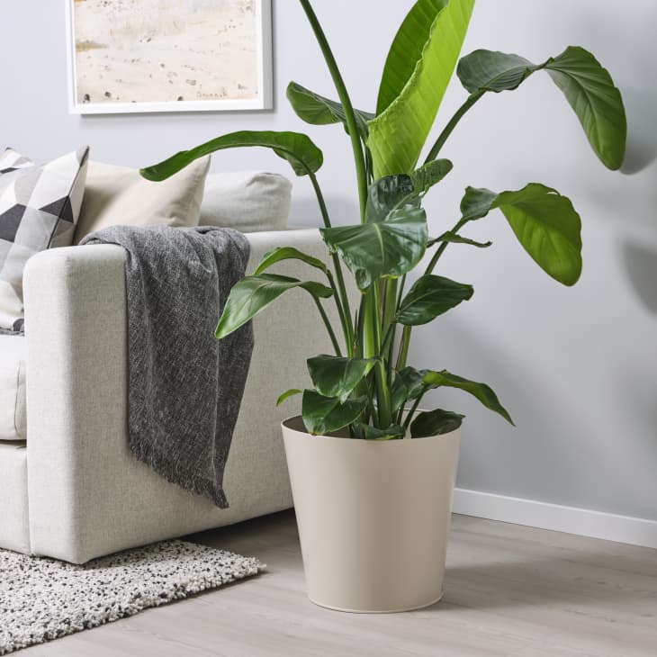 The Most Useful IKEA Products for Every Situation Apartment Therapy