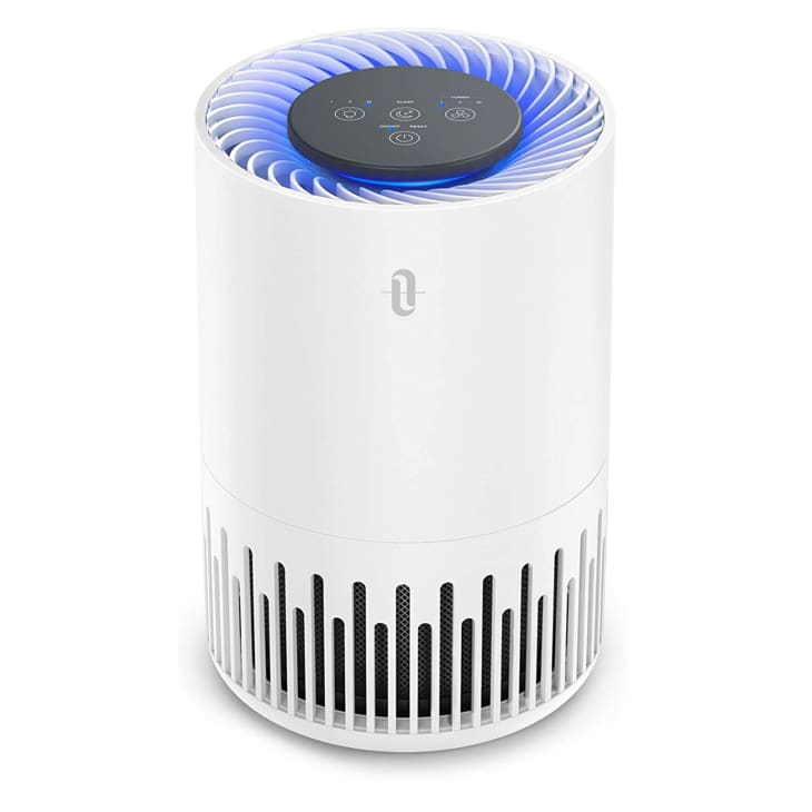 Best Cheap Air Purifiers Apartment Therapy