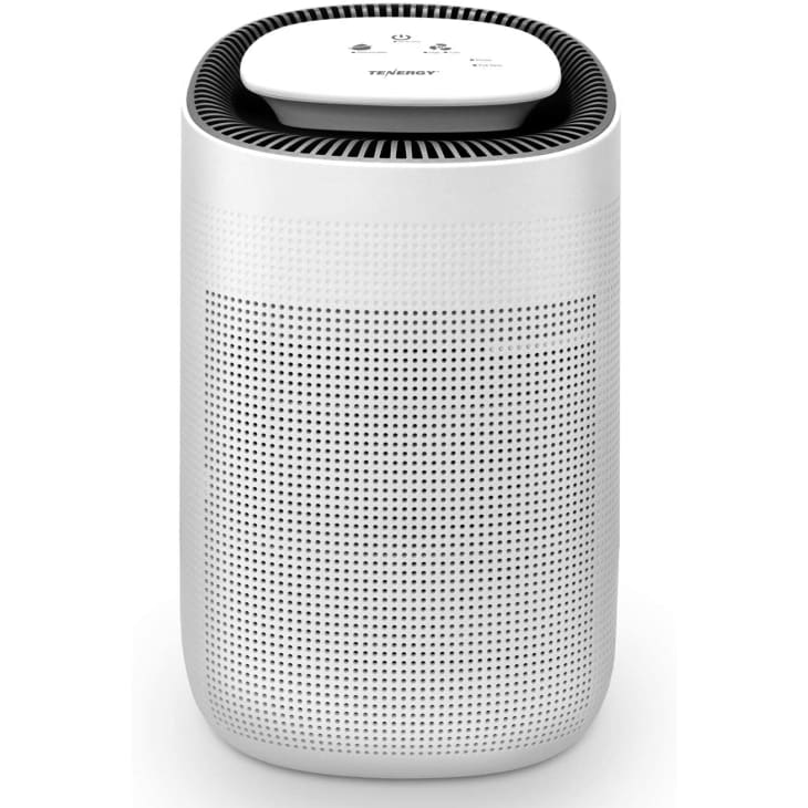 9 Best Dehumidifiers for Every Budget 2021 Apartment Therapy