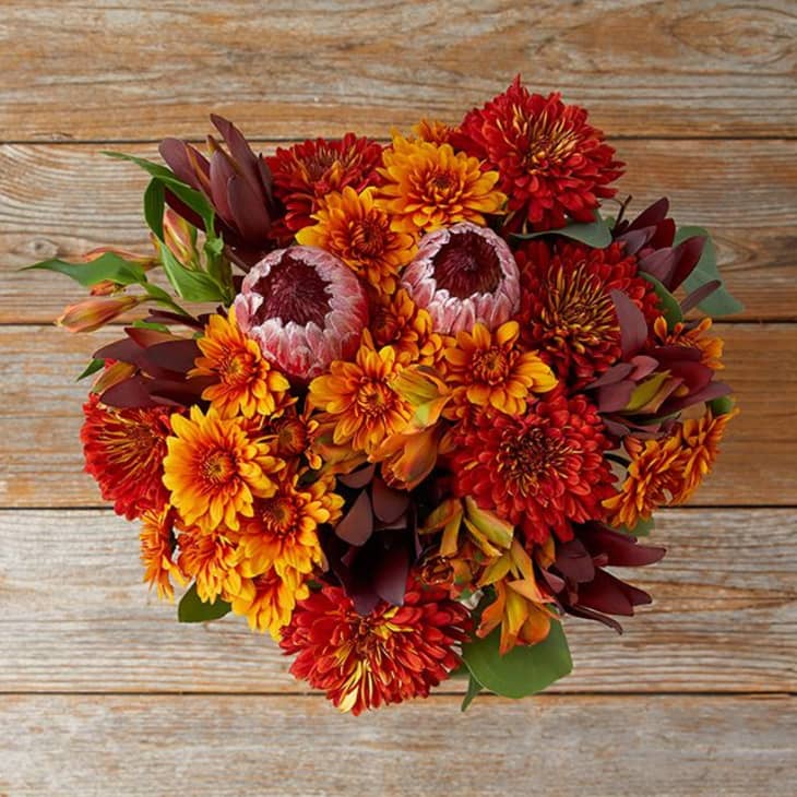 The Bouqs Fall Flower Collection Is the Chicest Way to In