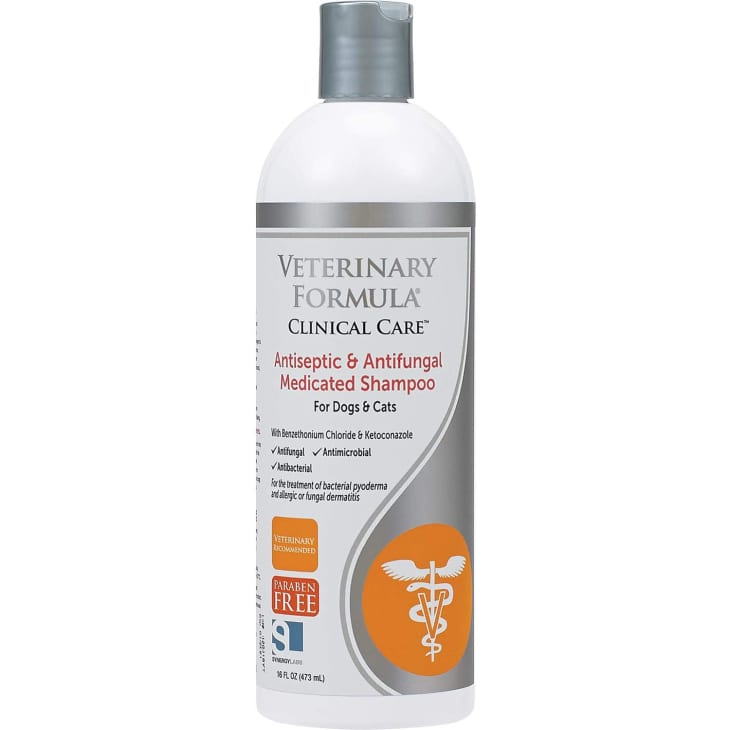 12 Best Pet Shampoos 2021 — Deshedding, Medicated, Sensitive Skin