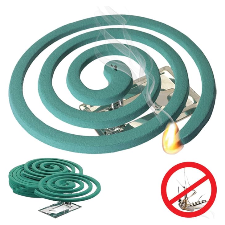 I Tried Mosquito Repellent Coils from Amazon — Here's How It Went