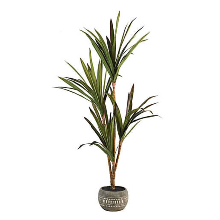 Bed Bath & Beyond Wild Sage Home Collection Launch Apartment Therapy