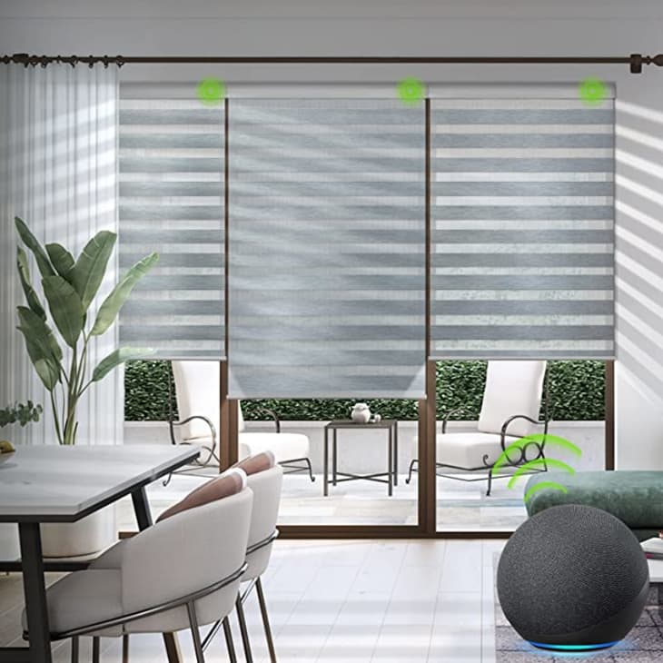 Yoolax Motorized Zebra Blinds: Amazon Reviews | Apartment Therapy