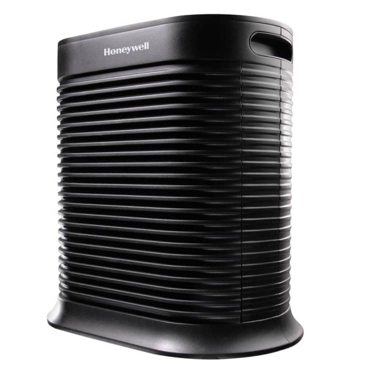 Best Air Purifiers 2021 - Top Rated Purifiers for Allergies, Dust, Pets, Smoke | Apartment Therapy