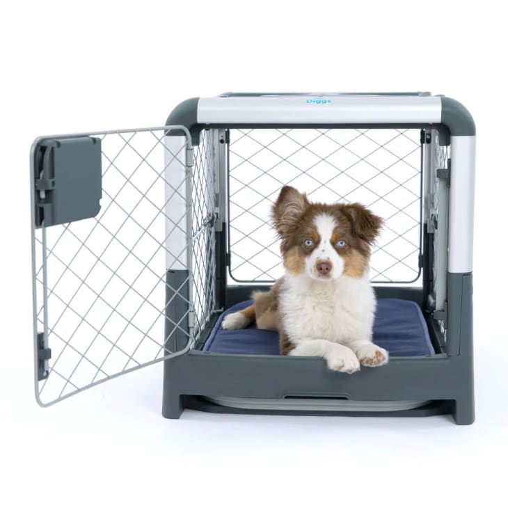 Diggs Revol Dog Crate Review Apartment Therapy