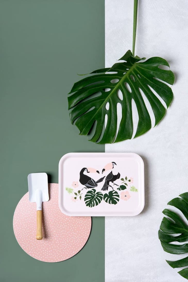 Etsy Free Gift Card November 2019 The Kitchn