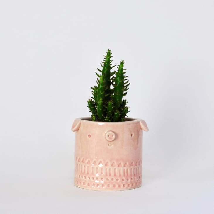 Etsy Free Gift Card November 2019 The Kitchn