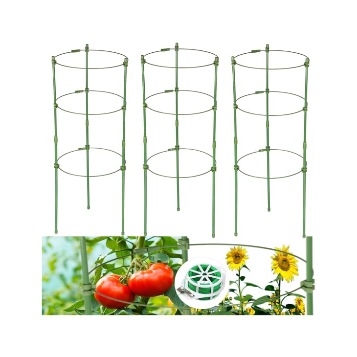 Narnia Adjustable Tomato Cage for Garden at Amazon