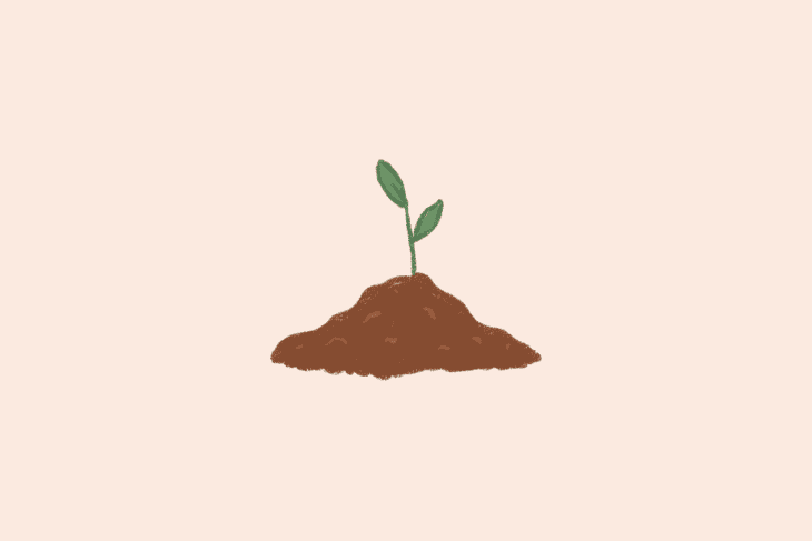 illustration of tiny sprout growing from dirt pile