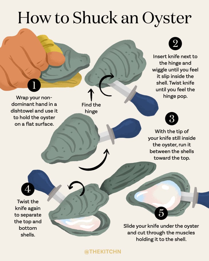 Illustration showing the 5 steps to shuck an oyster