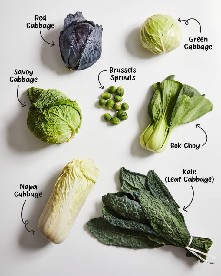 Red cabbage, green cabbage, brussels sprouts, savoy cabbage, napa cabbage, bok choy, and kale labeled on a white surface
