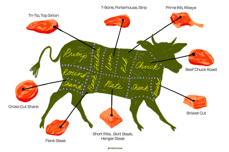 illustration of different beef cuts