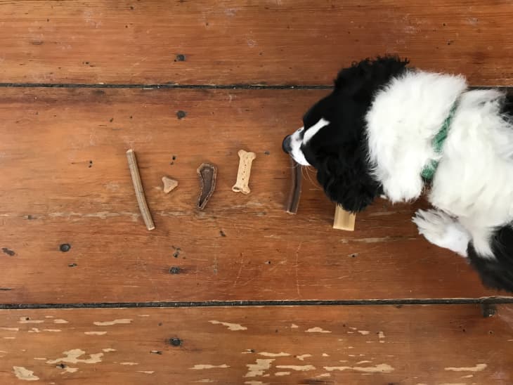 aldi dog treats review