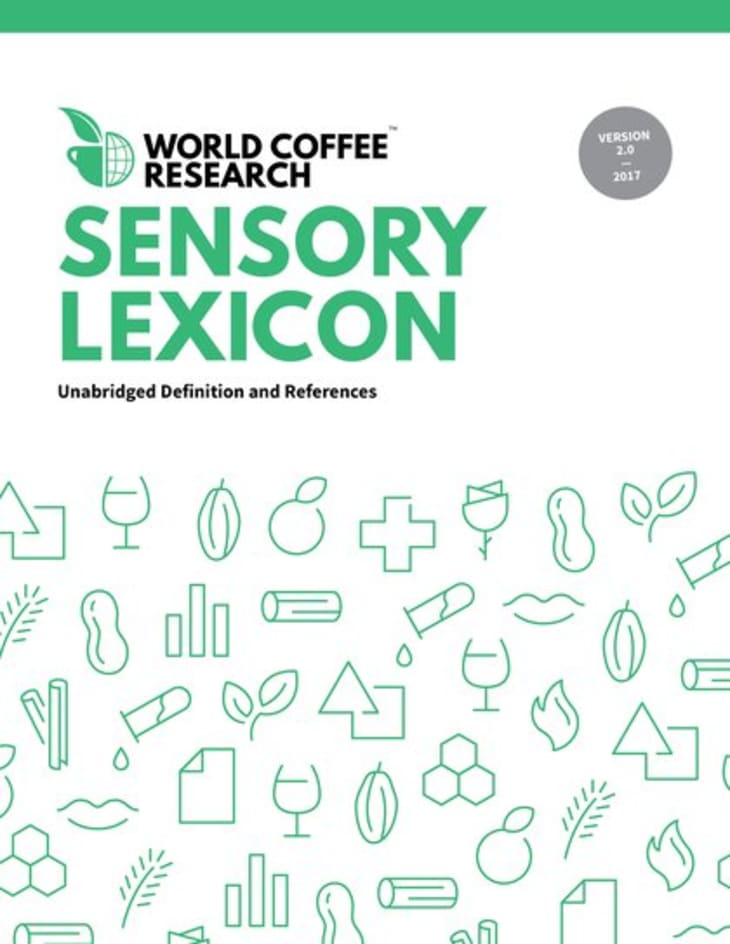 Product Image: Sensory Lexicon