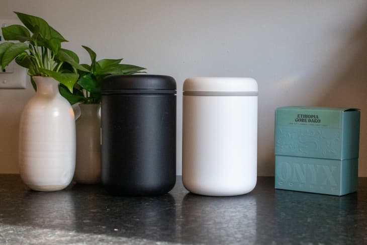 black and white Fellow Atmos coffee containers on a counter next to a box of coffee and plant cuttings in vases