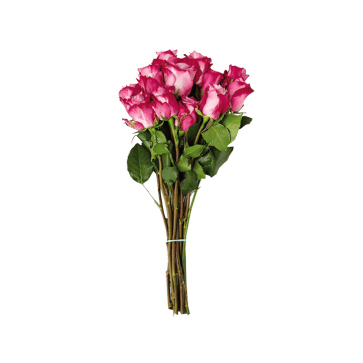rose bouquet from aldi