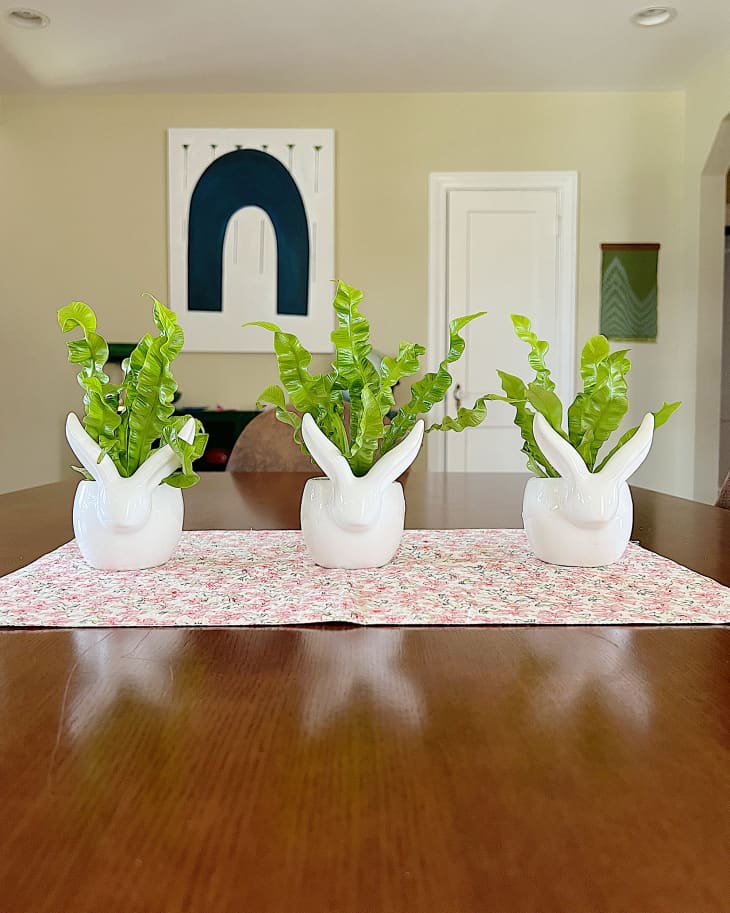 3 Trader Joe's white bunny planters with a plants in them on dining table