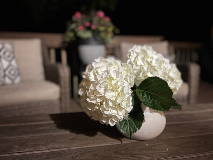 Trader Joe's white hydrangeas in ceramic vase on outdoor coffee table.