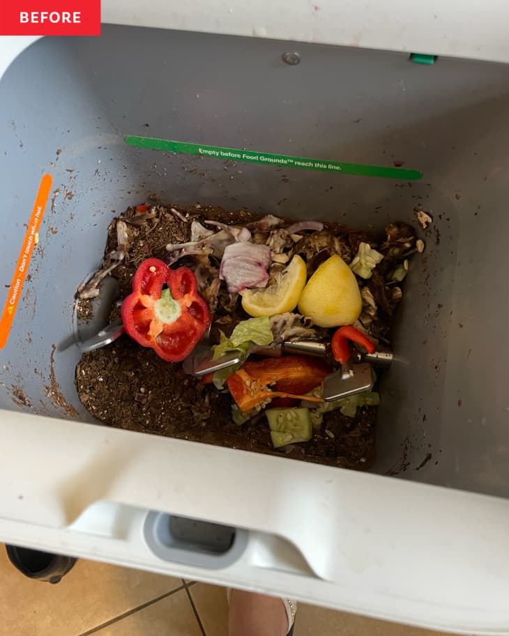 Food scraps in Mill compost bin.