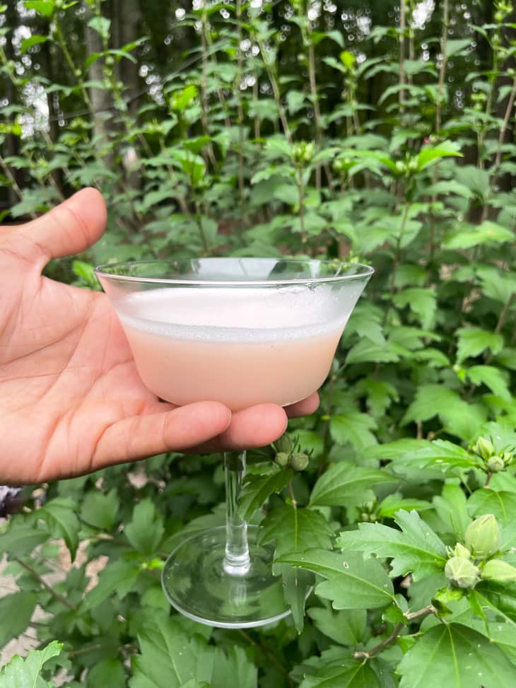 Someone holding Sgroppino cocktail in the garden.