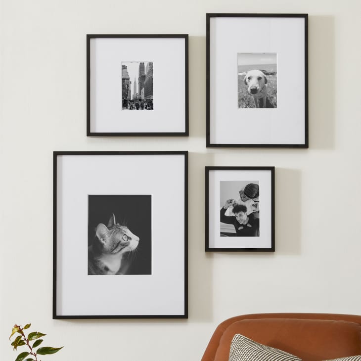 Product Image: Multi-Mat Gallery Frames