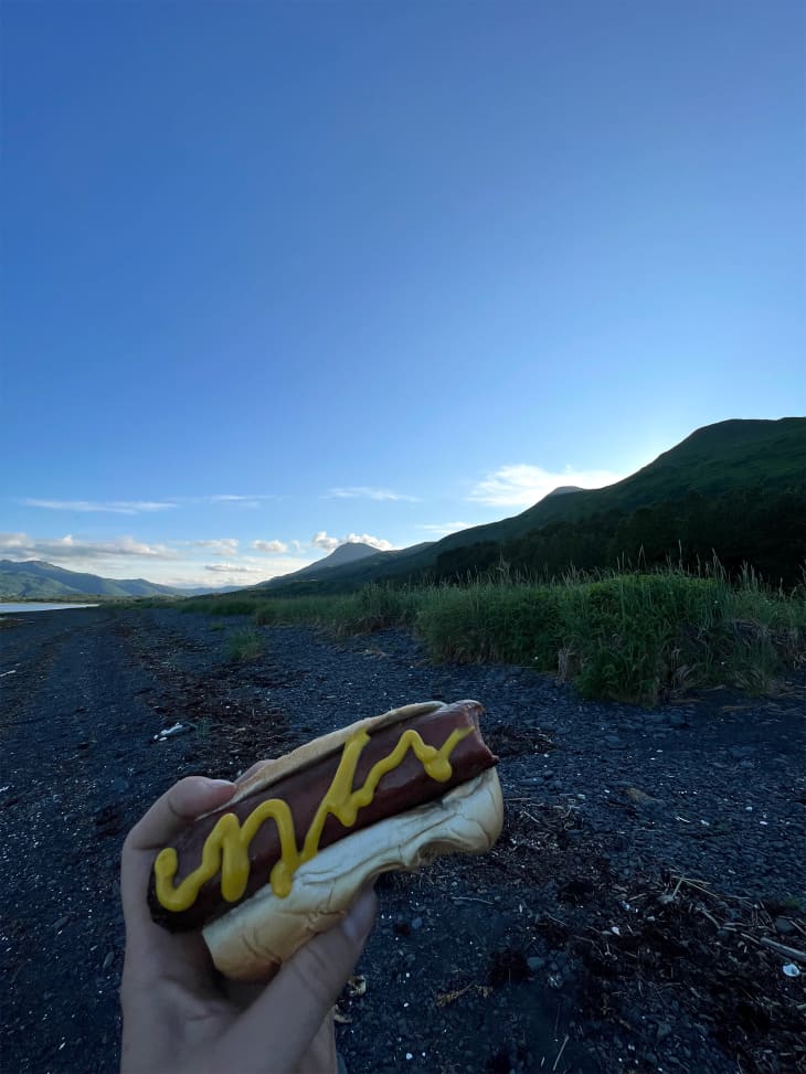 Someone holding up hot dog with mustard outside near mountains.