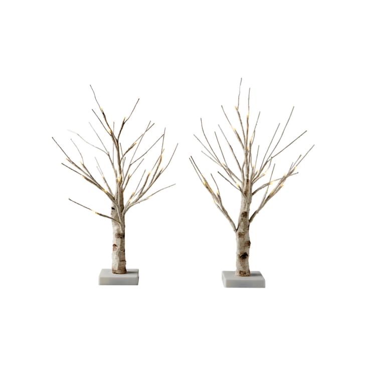 Merry Moments Indoor LED Birch Tree