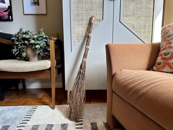 Cinnamon broom in living room.