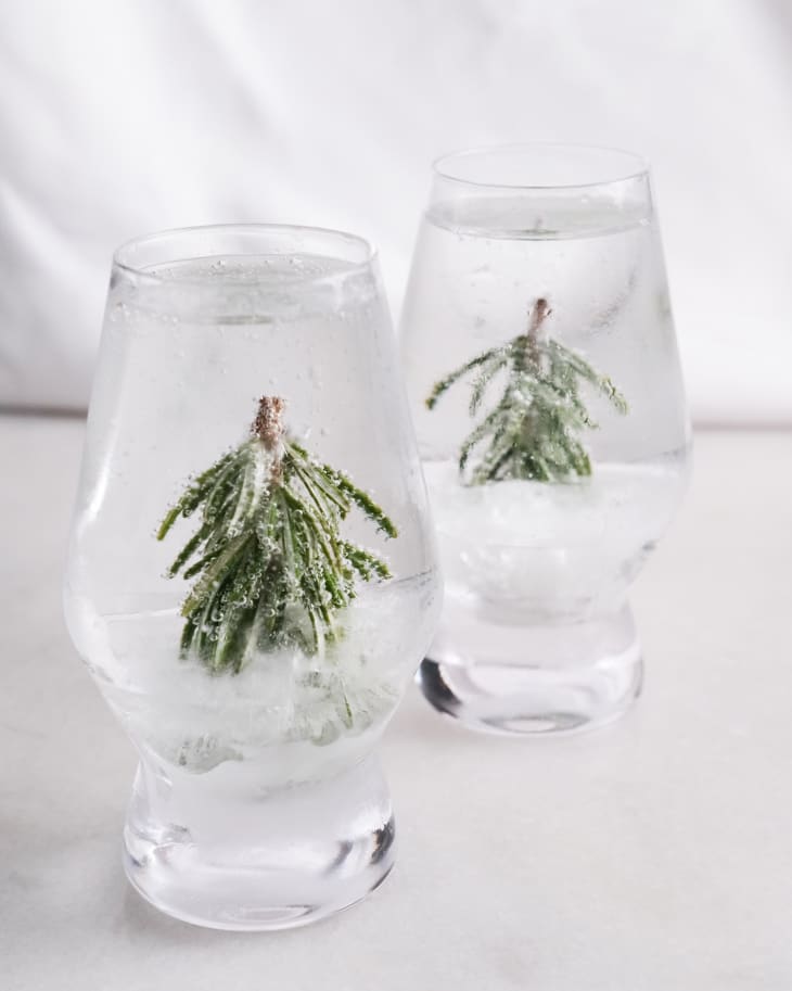 Frozen rosemary sprigs in cocktail glasses.
