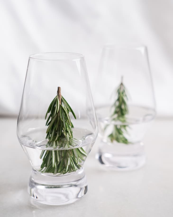 Water in the bottom of cocktail glass with a sprig of rosemary.