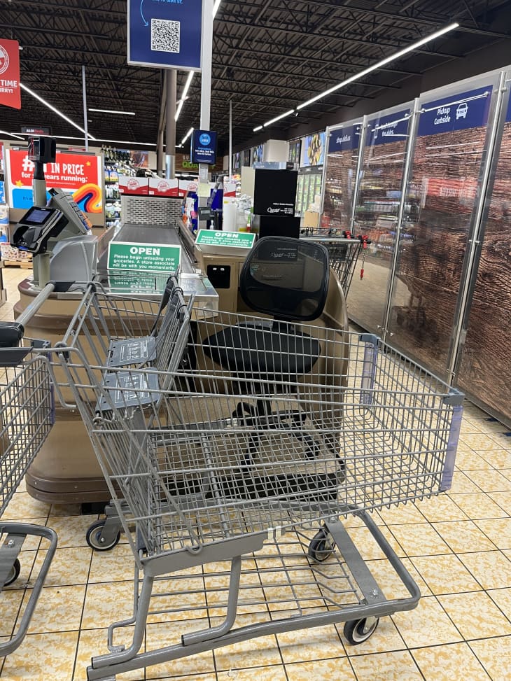 grocery cart at aldi near freezer section
