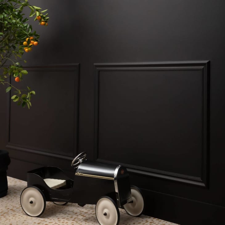 Dark black matte paint on walls with wainscoating and small black toy car with orange fruit tree